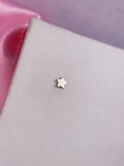 Estrela lisa - foto 1