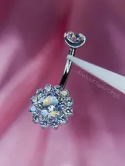 Navel Crisântemo - foto 1