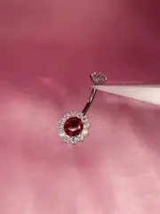Navel Crisântemo - foto 5