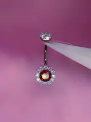 Navel Crisântemo - foto 7