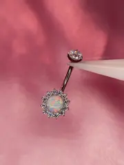 Navel Crisântemo - foto 8
