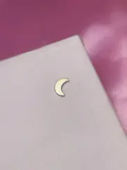 Lua lisa - foto 2
