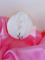 Clicker Garnet Star - foto 1